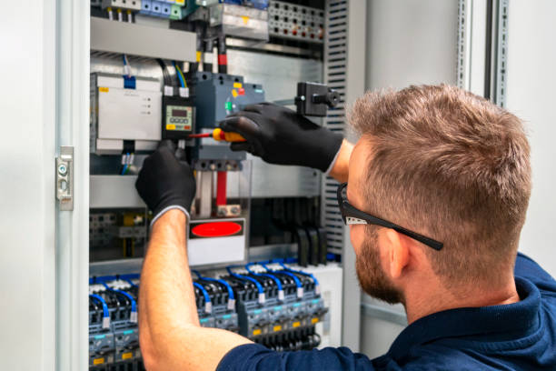 Best Electric Panel Repair  in Wabasha, MN