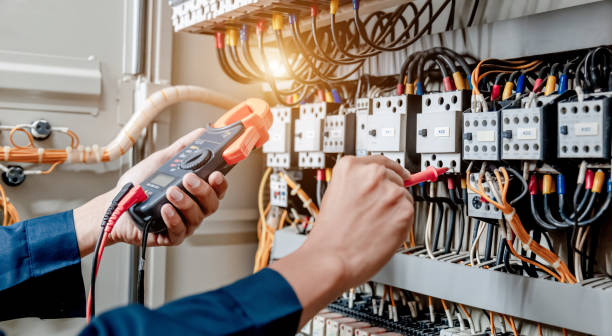 Best Ceiling Fan Installation Electrician  in Wabasha, MN